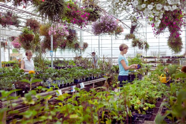 Gardening centres in Calgary to visit- Royal Lepage Benchmark - Calgary